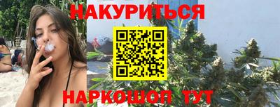 стафф Кингисепп