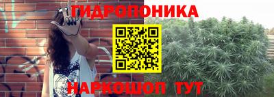 амф Будённовск